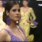 Pasarela 13-2-2015 (27)