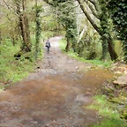 DSCN9203