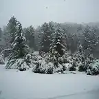 nevada en Riopar