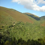 DSCN4292