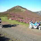 DSCN5261
