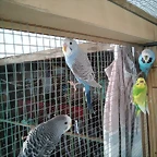 IMG_20171230_170031_447