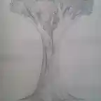 Arbol de drago