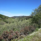61-IMG_6454