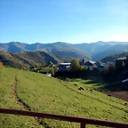 DSCN8995