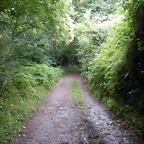 DSCN4767