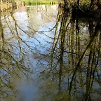 48-IMG_5286