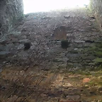 DSCN2821
