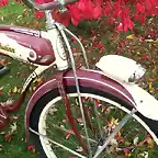 1950 Schwinn Hornet