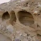 La paloma grutas