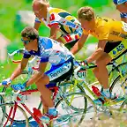 Perico-Tour1989-Lemond-Fignon3