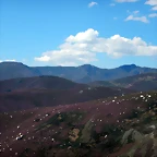 DSCN9540