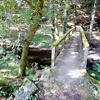 DSCN6931