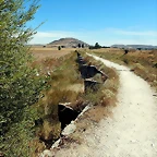 DSCN6272