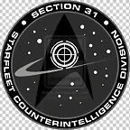 Seccion 31