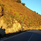 DSCN6530