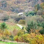 76-IMG_3952