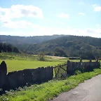 DSCN5505