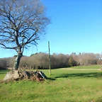DSCN2480