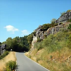 DSCN9195