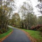 DSCN1177