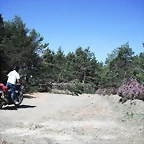DSCF2511