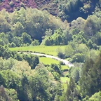 56-IMG_6447