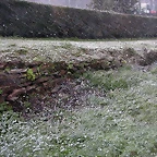 DSCN7459