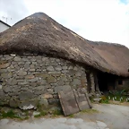 DSCN0884
