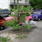 SAM_0421