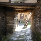 DSCN4299