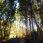 DSCN8940