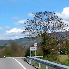 DSCN0777