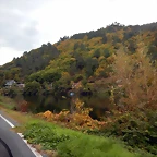 DSCN9875
