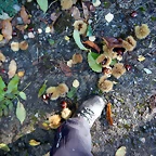 DSCN0039