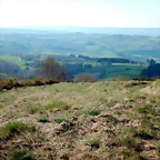 DSCN5297
