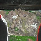 Esquinas 004 (Small)