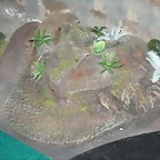 Esquinas 006 (Small)