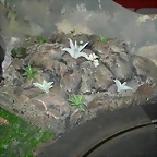 Esquinas 002 (Small)