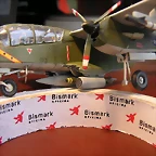 bronco (20)