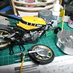 DSCN4538