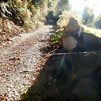 DSCN8965'5