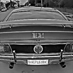 PB161565