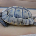P1110600