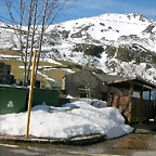 DSCN8697