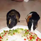 Menudo banquete!