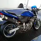 honda hornet