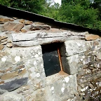 DSCN4550