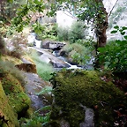 DSCN8427