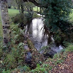DSCN0561
